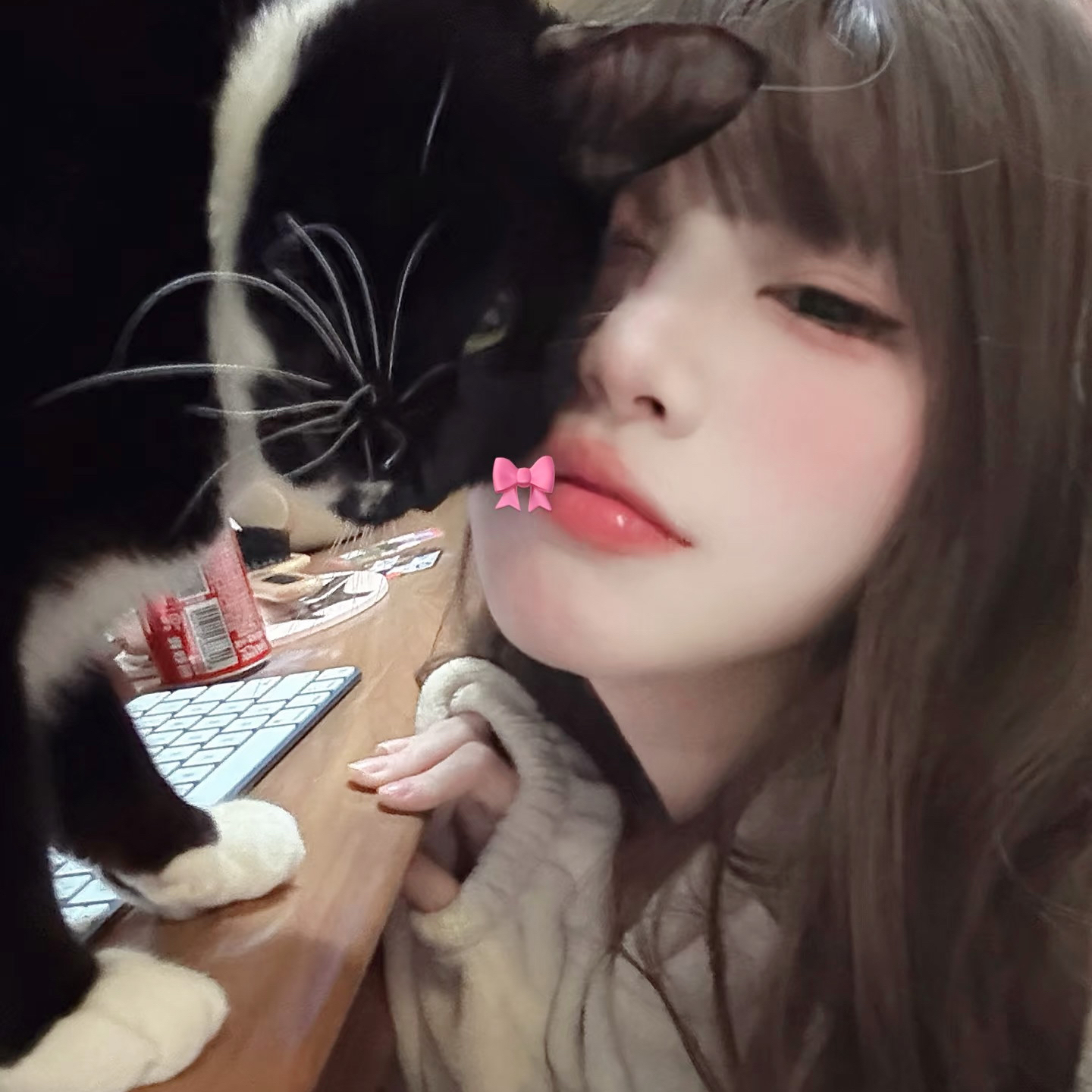 校园无码黄页导航V.2026.02.28.8293